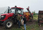 Специалисты департамента проверили хозяйства Шегарского, Первомайского и Асиновского районов